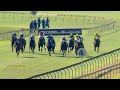 20220710 hollywoodbets scottsville express clip race 2 won by wiccan warrior