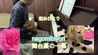 リラックスタイム。愛犬との日常。リラクゼーションピアノ。マイウェイPaulAnka作曲kouichihashimoto編曲、花は咲く　菅野よう子作曲　上田真樹編曲王様のピアノ、白鳥の湖より。日常風景。