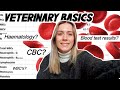 VETERINARY BASICS: How to read a blood test! CBC & Haematology