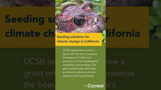 UCSB News in Review | Week of 10/15/23 #UCSantaBarbara #UCSB #Research #ResearchNews