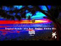 🌴 Relax Music - Tropical Beats | Riddims | Smooth Afro Beats | Soca Sounds | Guitar Instrumentals