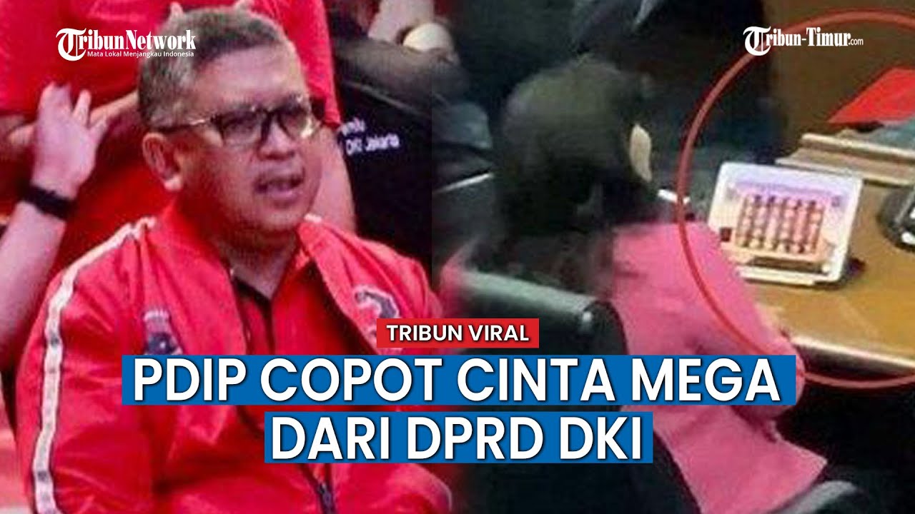 Tindak Tegas PDIP, Cinta Mega Dicopot Dari DPRD DKI Jakarta Soal Diduga ...