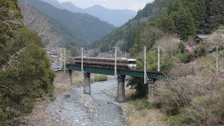 373系@飯田線第6水窪川橋梁(渡らずの橋) 2017/4/15