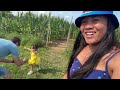 terhune orchards vineyard and winery walkthrough in princeton new jersey 🇺🇸🇵🇭