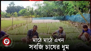 ঈশ্বরদীতে শীতকালীন সবজি চাষে ধুম পড়েছে || Jago News