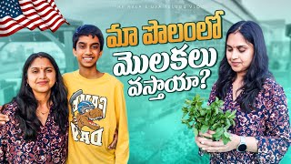 మా Garden పనులు started | Telugu Vlogs from USA | Gardening tips Vegetable Comedy funny America