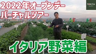 【トキタ種苗】2022年大利根研究農場オープンデー圃場案内 イタリア野菜編！【公式】