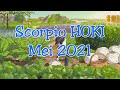 Zodiak Scorpio HOKI Mei 2021 |😄Ada Yang Diam-Diam Memperhatikan Kamu|