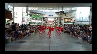 【4K】帯屋町筋（第64回 高知よさこい祭り 編集版)