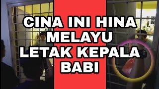 CINA INI LETAK KEPALA BABI KAT  DEPAN RUMAH MELAYU