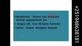 Barnoota Afaan Oromoo jalqaba irraa # himoota  adda addaa dubbisuu # Bayaan Amin#