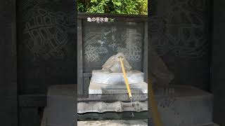 神社 参拝 手水舎にて 作法 清めます #shorts #亀 #少し緊張 #背筋が伸びる