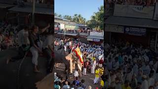 അവൻറെ ഒരു ഇടത്തും കൊടുക്കൽ. #elephant #anirudh #remix #music #trailer #jailer #viralvideos