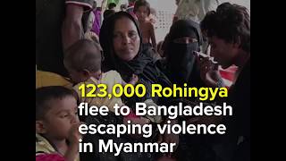 123,000 Rohingya flee to Bangladesh escaping violence in Myanmar