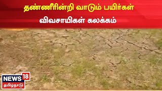 Nagapattinam | திருக்குவளை சுற்றுவட்டார பகுதிகளில் சாகுபடிக்கு போதிய தண்ணீர் இல்லை | Tamil News