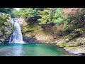 十津川村の清納の滝4k