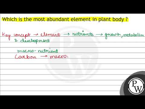 What are the 5 most abundant elements in plants?