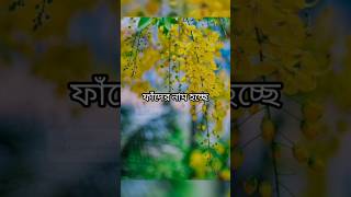 ফাঁদের নাম হচ্ছে #banglamotivationalquatos2024 #youtubereel #short #new #india #bengladesh #আলোরদিশা