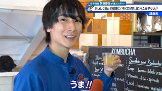 猫のひたいほどワイド #1385 潜入リポート・朝田淳弥「おいしく飲んで健康に！今KOMBUCHAがアツい！！」（鎌倉市）