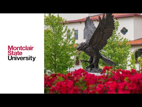 What GPA do you need to get into Montclair?