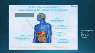 LRH Meds for Type 2 Diabetes - Nursing Education Module --VIDEO