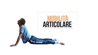 EDUCAZIONE FISICA 04 Mobilità articolare