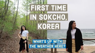 Day trip to SOKCHO, Korea! East Sea, Birch Tree Forest, Abai Village, Life in Korea VLOG 속초 여행 브이로그