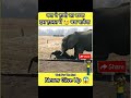 shorts इस हालत में फंस जाने पर ये मासूम बच पायेगा इन शेरों से 😱🤔❗ lion attack elephant baby wild