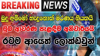 news 1st today BREAKING NEWS |    hiru BREAKING NEWS | BREAKING NEWS here is special notice