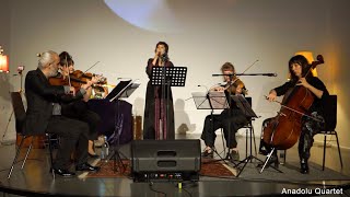 Anadolu Quartet - Gakavik