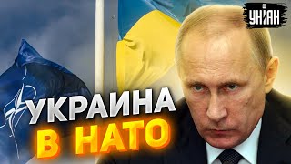 Путин обделался от страха. Украину увидели в НАТО, интеграция запущена – Свитан
