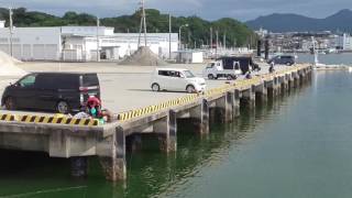 8月28日日曜日の田辺市文里（もり）湾の釣人