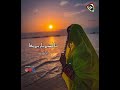 Tara Rab Kan Taba Taba Rouf Sayar TikTok Viral Balochi Song| New irani balochi song |