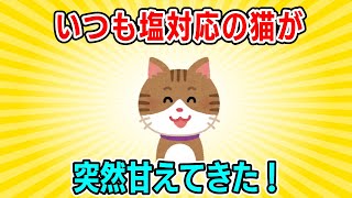 【2ch】いつも塩対応の猫が突然甘えてきた⋯結果！