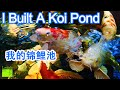 I Built a Koi Pond 我建了一个锦鲤池