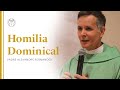 Homilia Dominical | As últimas realidades  (33º domingo do tempo comum ano B)- 17/11/24