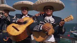 Mariachi Music in Puerto Vallarta Jalisco Mexico Travel Video