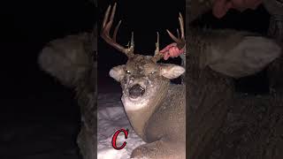 BIG Saskatchewan Whitetail BUCKS! #hunting #viral #hunt #whitetail #deer #buck #bigbuck #bbd #shorts