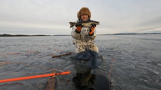 16/25, Kauden ennätys kevätjäiltä