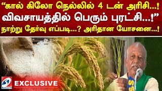 கால் கிலோ நெல்லில் 4 டன் அரிசி..! விவசாயத்தில் பெரும் புரட்சி..! நாற்று தேர்வு எப்படி..அரிதான யோசனை!