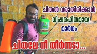 ചിതൽ വരാതിരിക്കാനുളള വിഷരഹിതമായ മാർഗം | Anti Termite Treatment