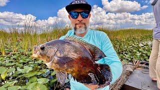 Fishing the Florida Everglades For Oscar