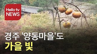 경주 ′양동마을′도 가을 빛