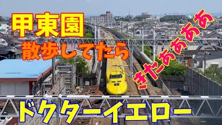 西宮ええとこ 甲東園を散歩してたらええもん見れた Walking in Nishinomiya, Japan