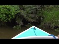 national geographic s description of sierpe mangroves is spot on wow arif herekar