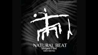 Jeden jest świat - 12 - Natural Beat - Striped Flint - Muzyka Swietokrzyska