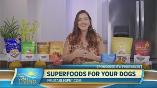 The benefits of feeding superfoods to your pets