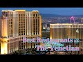 The Venetian Food Tour-- Best restaurants in Las Vegas