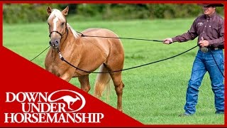 Clinton Anderson: Training a Rescue Horse, Part 7 - Downunder Horsemanship