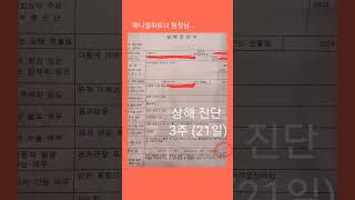 결국 고소장 접수하게 만드네  정성용 가자 쌍방으로